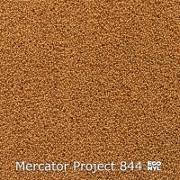 Mercator Project-Econyl 844